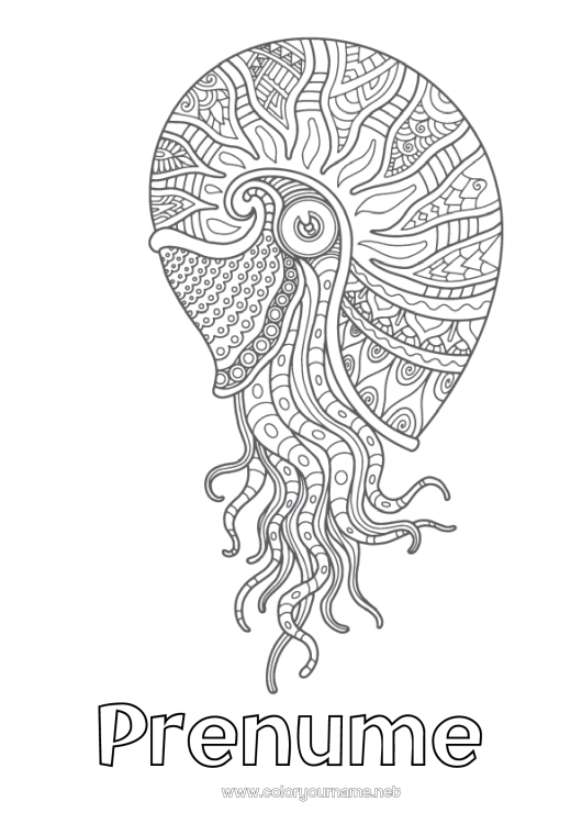 Pagină de colorat de imprimat Mandala Mare Animal Scoici Desene de colorat complexe Animale marine sau acvatice