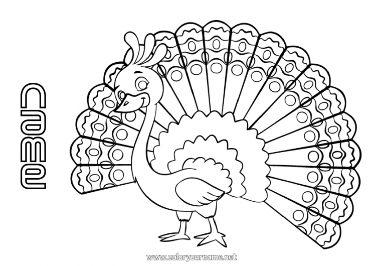 Coloring page to print Animal Peacock Intermediate coloring pages Flying birds and mammals