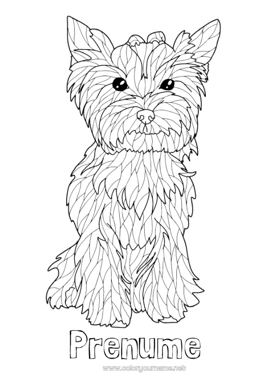 Pagină de colorat de imprimat Câine Animal Desene de colorat complexe Câini și pisici