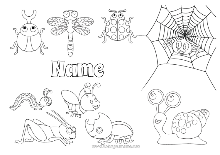 Colouring page to print Spider Animal Snail Ladybird Intermediate Colouring Sheets Insects Dragonfly