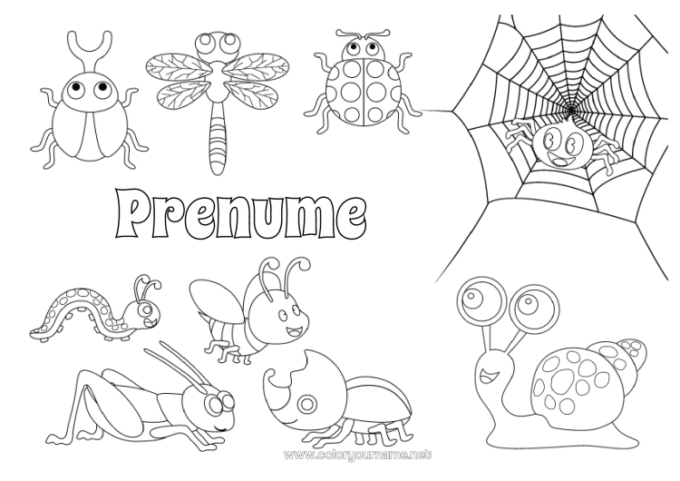 Pagină de colorat de imprimat Păianjen Animal Melc Gărgăriță Colorează intermediare Insecte Libelulă