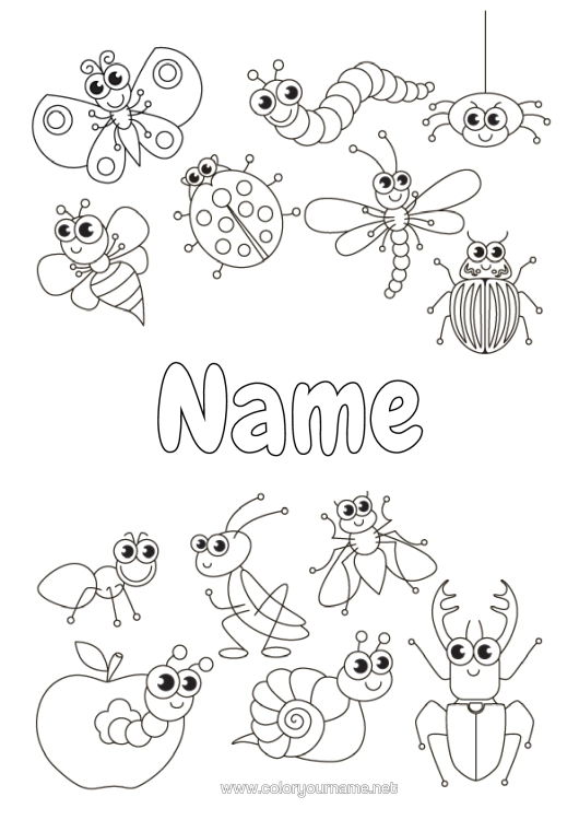 Colouring page to print Spider Animal Ladybird Ant Insects Dragonfly