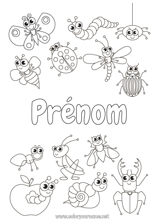 Coloriage à imprimer Araignée Animal Coccinelle Fourmi Insectes Libellule