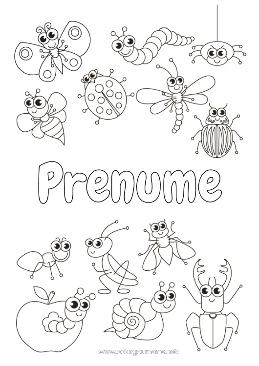 Pagină de colorat de imprimat Păianjen Animal Gărgăriță Furnică Insecte Libelulă