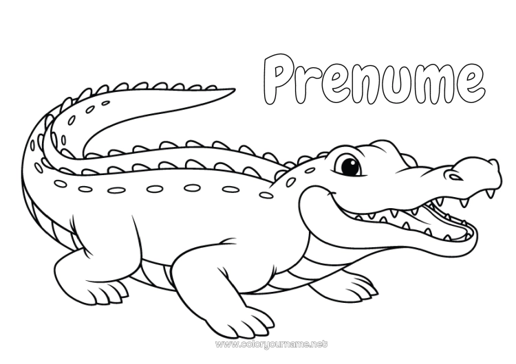 Pagină de colorat de imprimat Crocodil Animal Desene de colorat ușoare Reptile