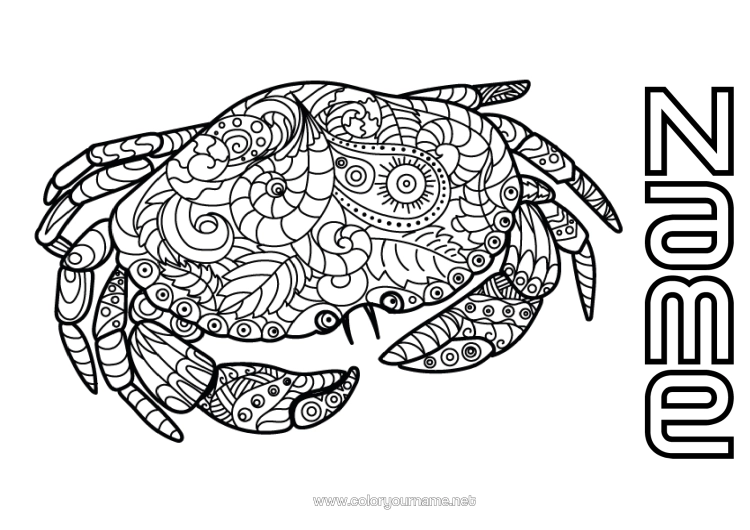 Colouring page to print Calm And Zen Mandala Summer Animal Crab Zentangle Anti-Stress Marine Or Aquatic Animals