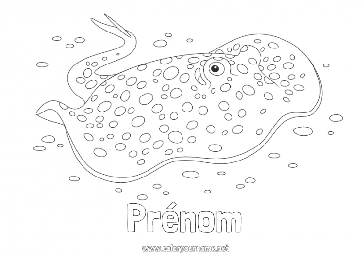 Coloriage à imprimer Été Mer Animal Poisson Raie Animaux marins ou aquatique