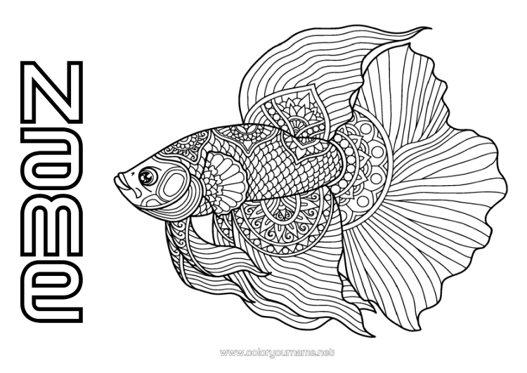 Colouring page to print Calm And Zen Mandala Animal Fish Complex Colouring Pages Anti-Stress Marine Or Aquatic Animals