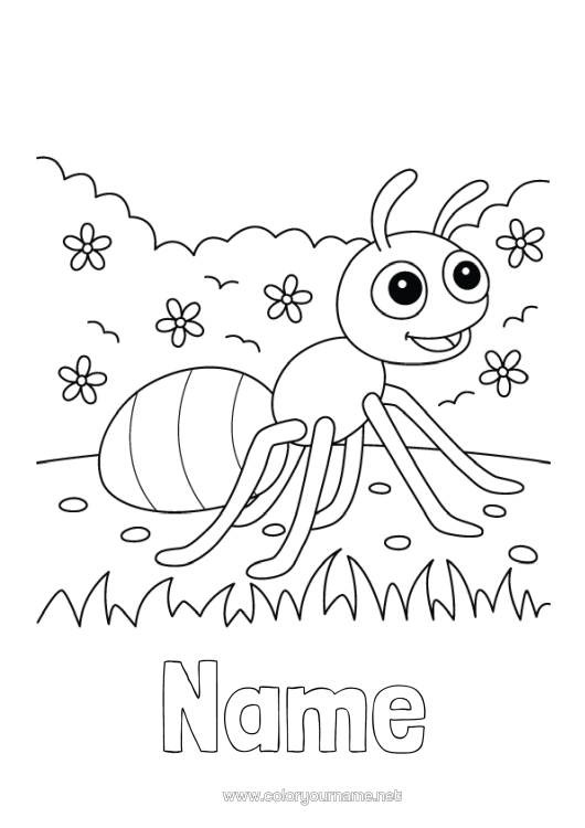 Colouring page to print Spring Animal Easy Colouring Pages Ant Insects