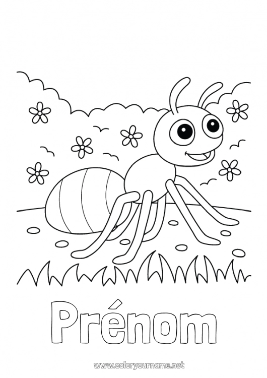 Coloriage à imprimer Printemps Animal Coloriages faciles Fourmi Insectes