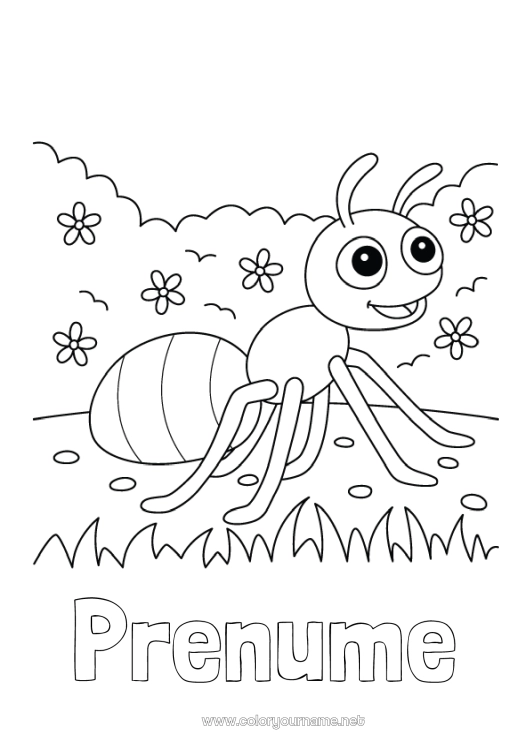 Pagină de colorat de imprimat Primăvară Animal Desene de colorat ușoare Furnică Insecte