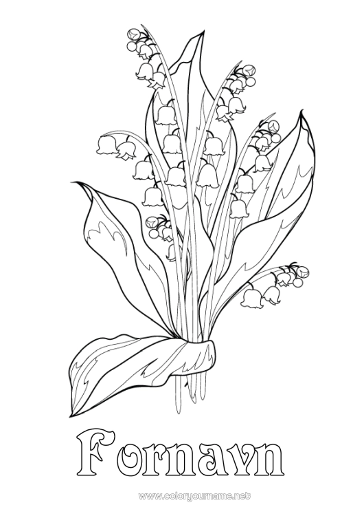 Farvelægningssiden til udskrivning Blomster Liljekonval. 1. maj