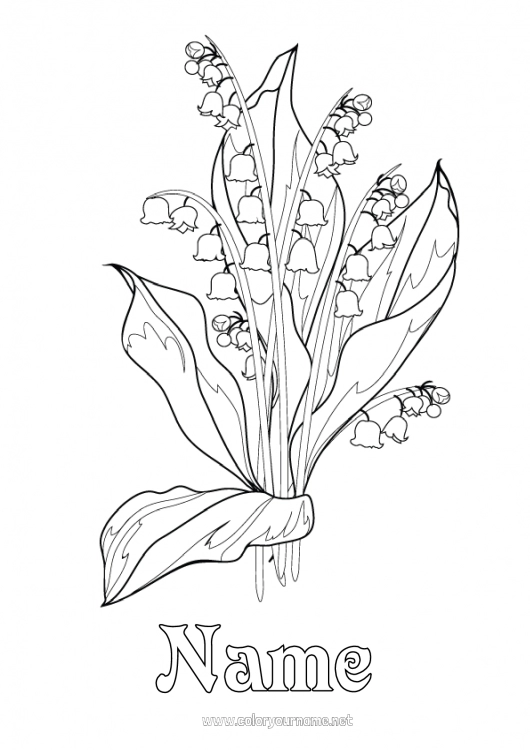 Coloring page to print Flowers Lily of the valley 1st may