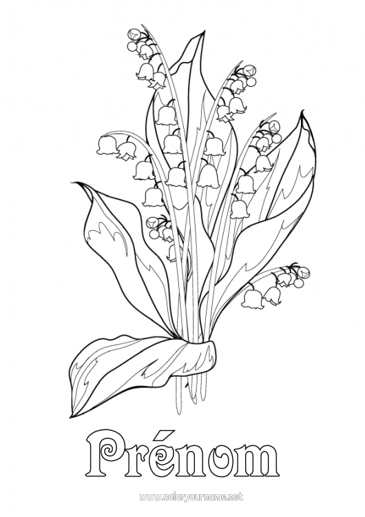 Coloriage à imprimer Fleurs Muguet 1er mai