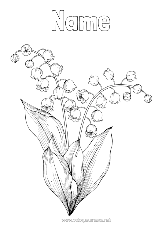 Colouring page to print Flowers Spring Lily Of The Valley 1St May