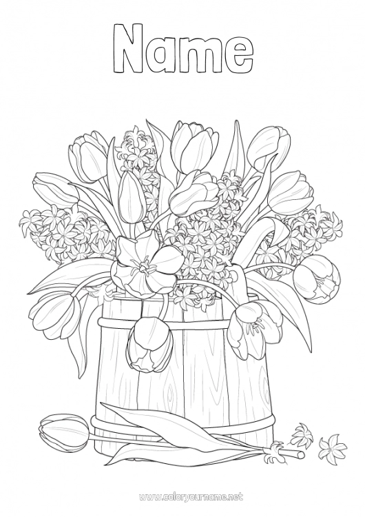 Coloring page to print Flowers Spring Tulip Hyacinth