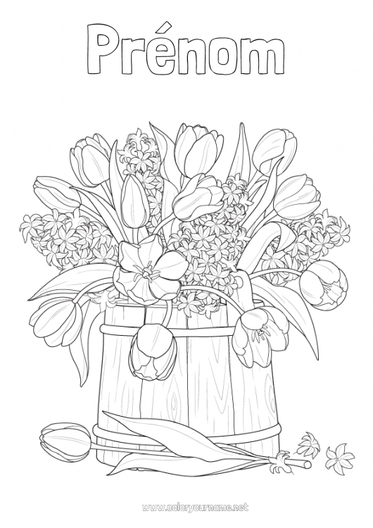 Coloriage à imprimer Fleurs Printemps Tulipe Jacinthe