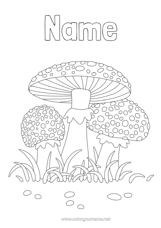 Colouring page to print Autumn Mushroom