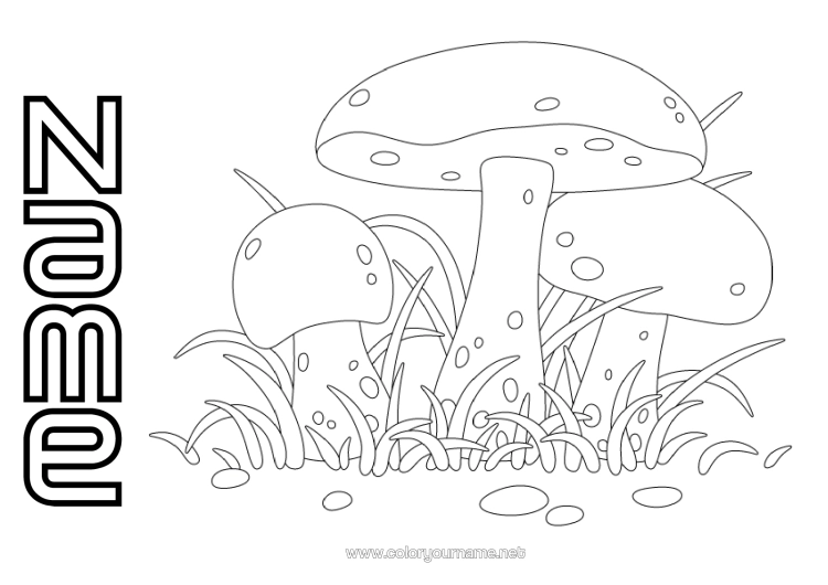 Colouring page to print Autumn Mushroom