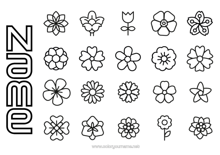 Colouring page to print Flowers Spring Children's Activities