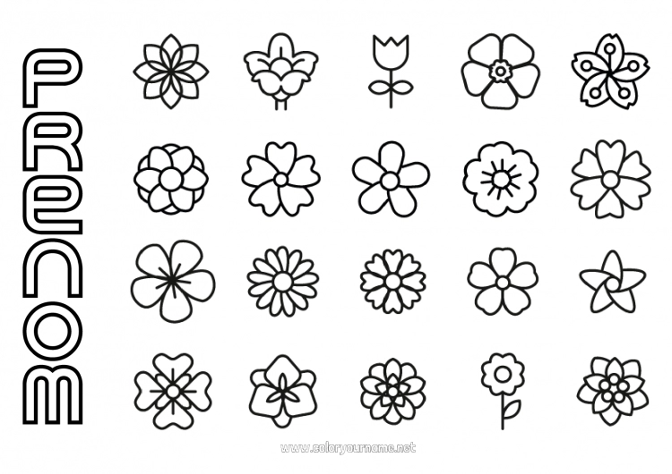 Coloriage à imprimer Fleurs Printemps Activités enfants