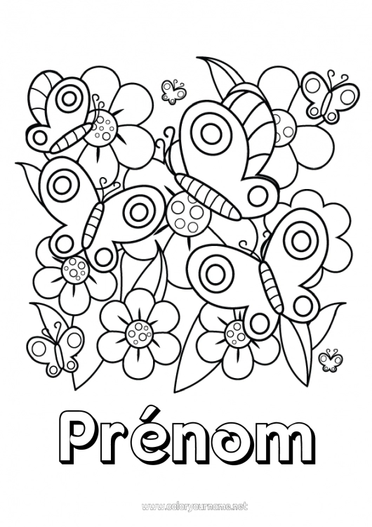 Coloriage à imprimer Printemps Papillon Animal Coloriages intermédiaires Insectes