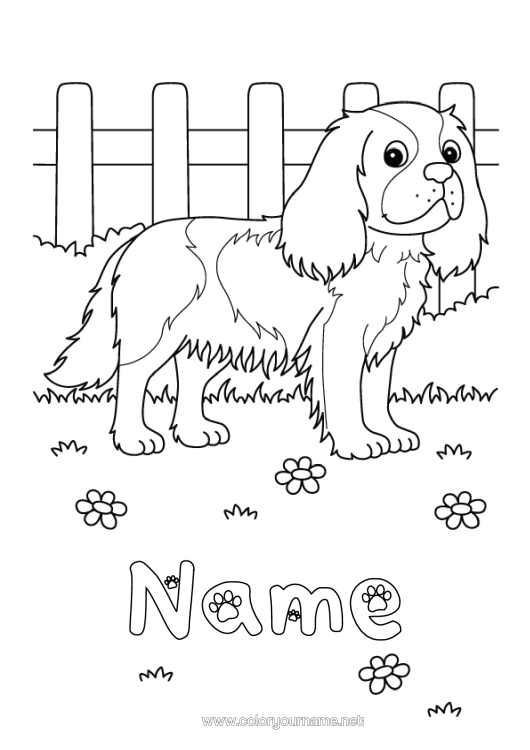 Colouring page to print Dog Animal Dogs And Cats