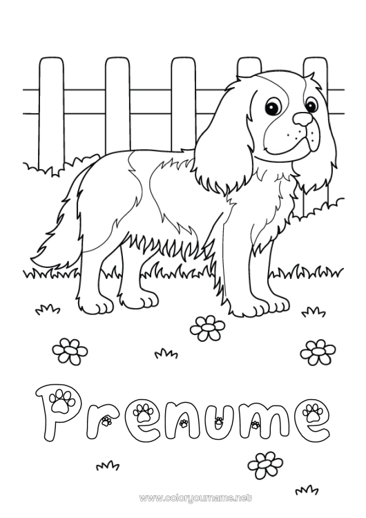 Pagină de colorat de imprimat Câine Animal Câini și pisici