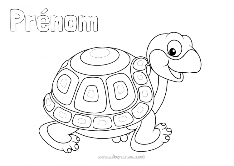 Coloriage à imprimer Mignon Tortue Animal Reptiles