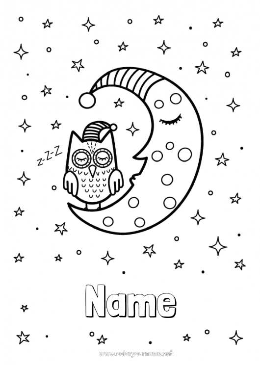 Coloring page to print Owl Space Stars Moon Flying birds and mammals