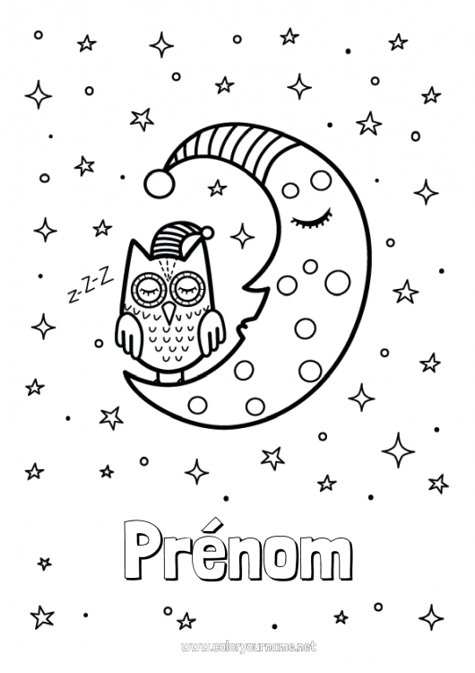 Coloriage à imprimer Chouette, Hibou Espace Étoiles Lune Oiseaux et mammifères volants