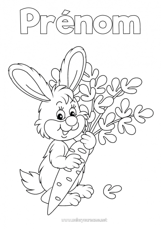 Coloriage à imprimer Lapin Animal Animaux de la forêt Carotte