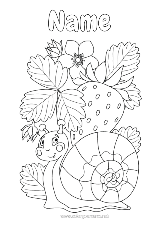 Colouring page to print Animal Snail Fruit Intermediate Colouring Sheets Strawberry Other Animals Of The World