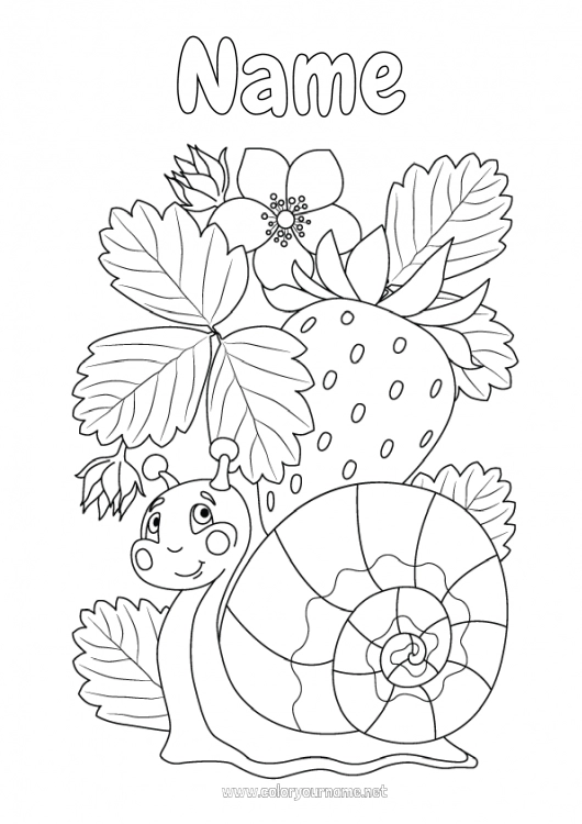 Coloring page to print Snail Fruits Intermediate coloring pages Strawberry Other animals of the world