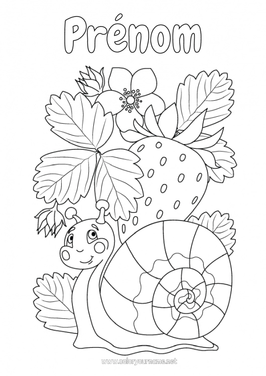 Coloriage à imprimer Escargot Fruits Coloriages intermédiaires Fraise Autres animaux du monde