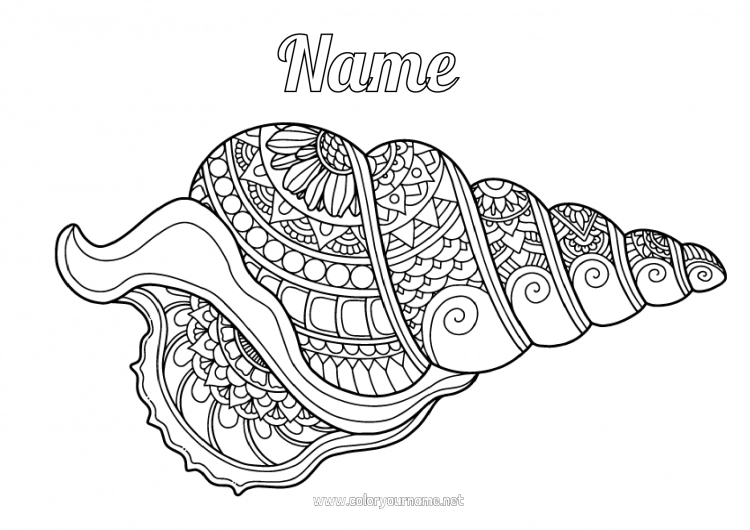 Coloring page to print Mandala Animal Sea Shell Complex coloring pages Marine or aquatic animals