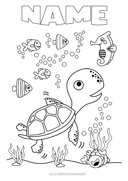 Coloring page to print Turtle Summer Sea Fish Marine or aquatic animals Reptiles