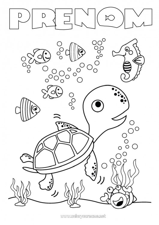 Coloriage à imprimer Tortue Été Mer Poisson Animaux marins ou aquatique Reptiles