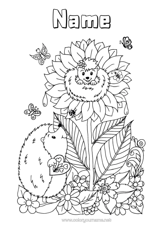 Colouring page to print Flowers Hedgehog Summer Butterfly Animal Sunflower Insects Forest Animals
