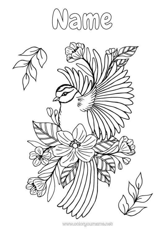 Colouring page to print Flowers Bird Summer Spring Animal Leaves Birds And Flying Mammals Great Tit