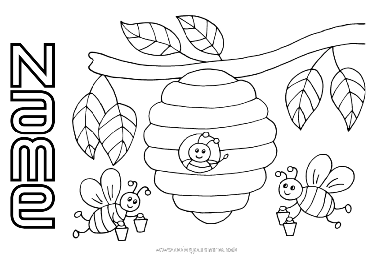 Colouring page to print Summer Spring Animal Bee Insects Hive