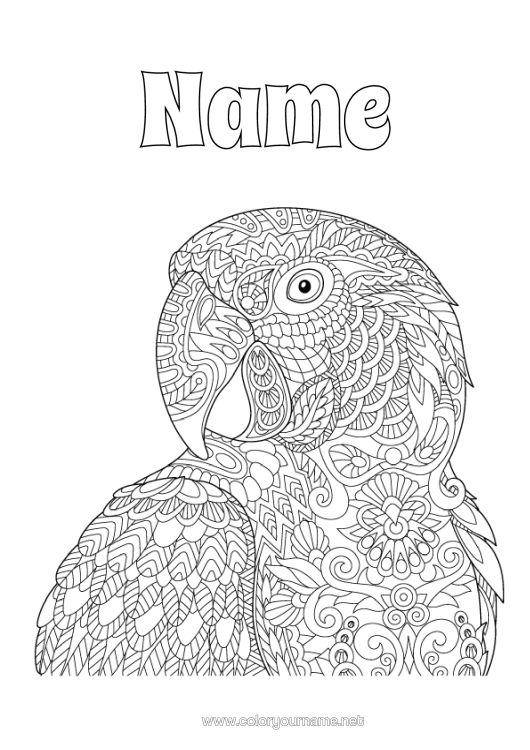 Colouring page to print Mandala Animal Parrot Complex Colouring Pages Birds And Flying Mammals