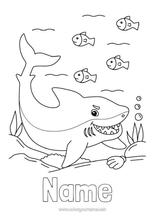 Colouring page to print Sea Animal Fish Intermediate Colouring Sheets Shark Marine Or Aquatic Animals