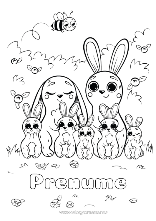 Pagină de colorat de imprimat Drăguț Iepure Copil Animal Animale din pădure Adult Familie