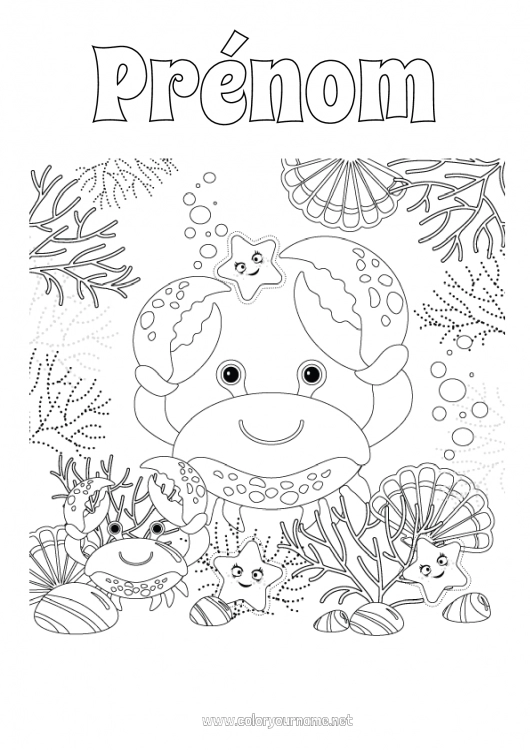 Coloriage à imprimer Mer Crabe Coquillages Coloriages intermédiaires Étoile de mer Animaux marins ou aquatique