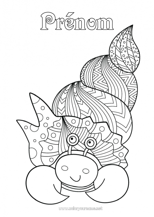 Coloriage à imprimer Mandala Crabe Coquillages Coloriages complexes Animaux marins ou aquatique