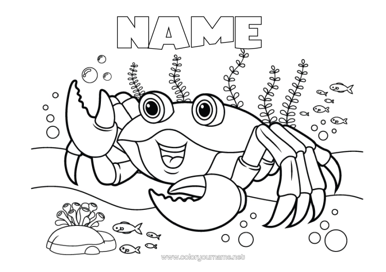 Colouring page to print Sea Animal Crab Marine Or Aquatic Animals