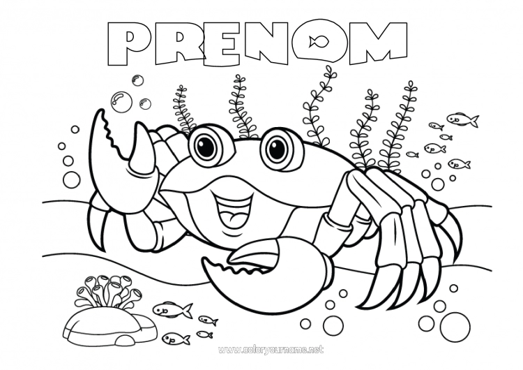 Coloriage à imprimer Mer Animal Crabe Animaux marins ou aquatique