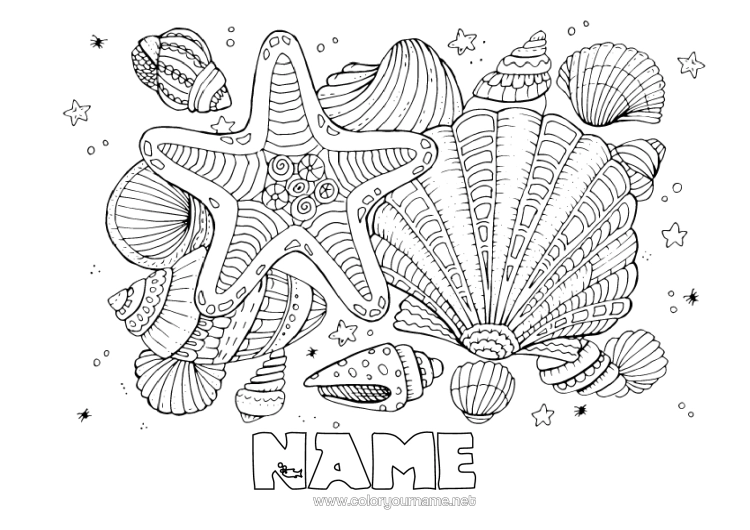 Colouring page to print Sea Animal Shellfish Complex Colouring Pages Marine Or Aquatic Animals