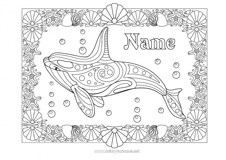 Coloring page to print Mandala Summer Whale Complex coloring pages Marine or aquatic animals Killer whale